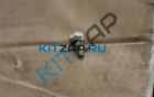 ���� ����� ����������� �����  